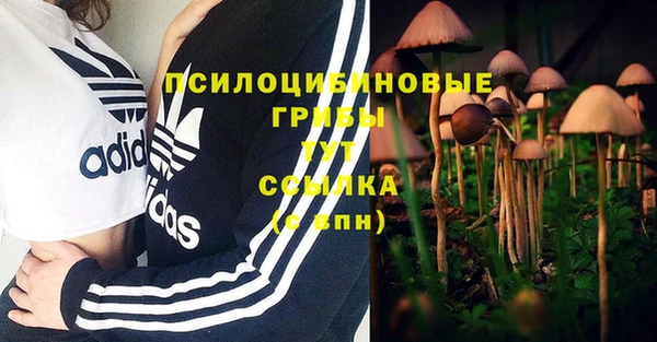 герыч Вязьма