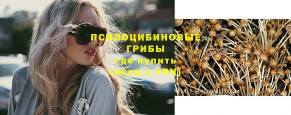 бошки Вяземский